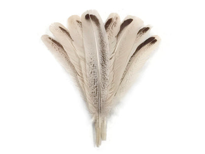 4 pieces - Royal Palm Wild Accent Feathers for Wedding Centerpieces