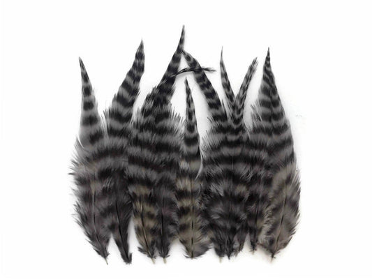1 Dozen - Short Grey Dun Grizzly Whiting Farm Rooster Saddle Hair Extension Feathers
