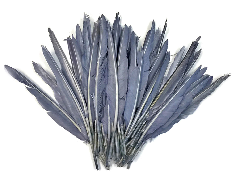 50 oz - Silver Gray Pack Primary Wing Accent Feathers for Wedding Centerpieces