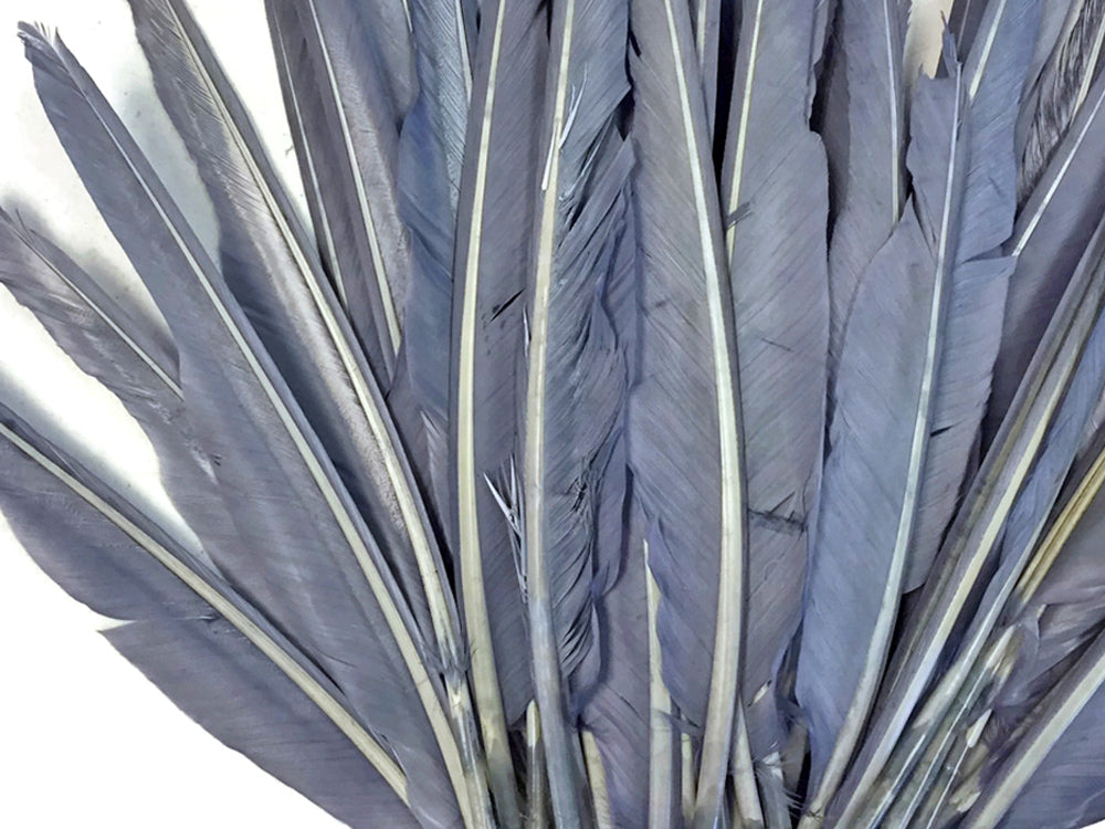50 oz - Silver Gray Pack Primary Wing Accent Feathers for Wedding Centerpieces