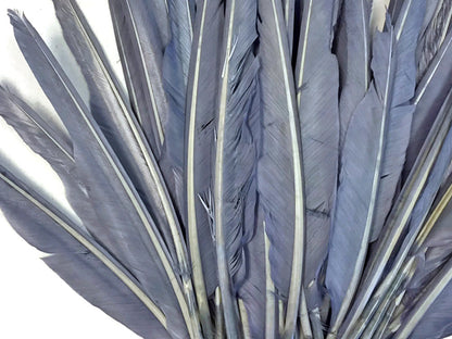 50 oz - Silver Gray Pack Primary Wing Accent Feathers for Wedding Centerpieces