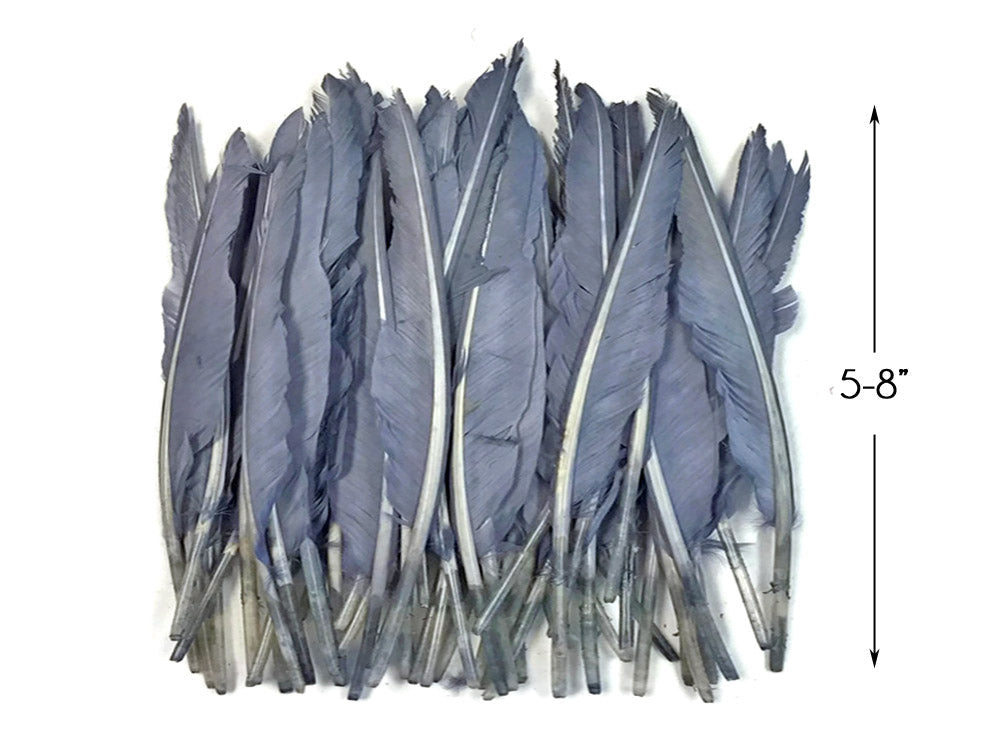 A quarter pound - Silver Gray Pointer Primary Wing Accent Feathers for Wedding Backdrops & Arches