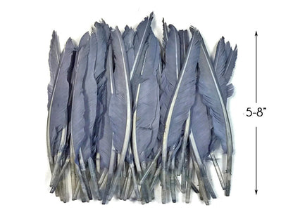 A quarter pound - Silver Gray Pointer Primary Wing Accent Feathers for Wedding Backdrops & Arches