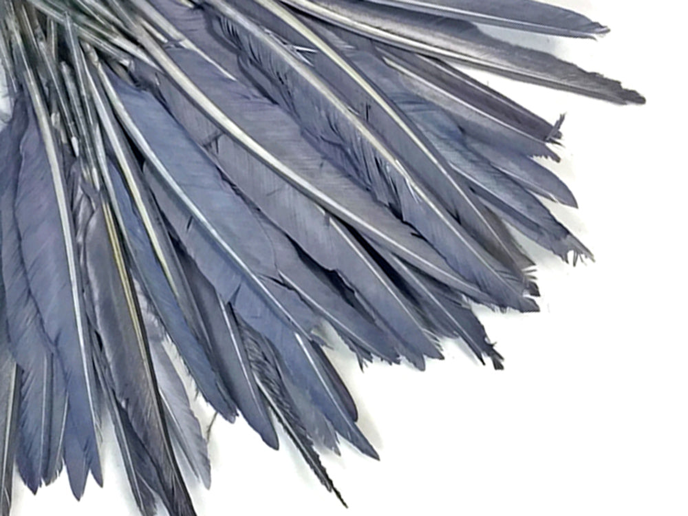 A quarter pound - Silver Gray Pointer Primary Wing Accent Feathers for Wedding Backdrops & Arches