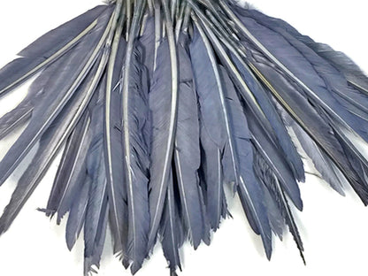 A quarter pound - Silver Gray Pointer Primary Wing Accent Feathers for Wedding Backdrops & Arches