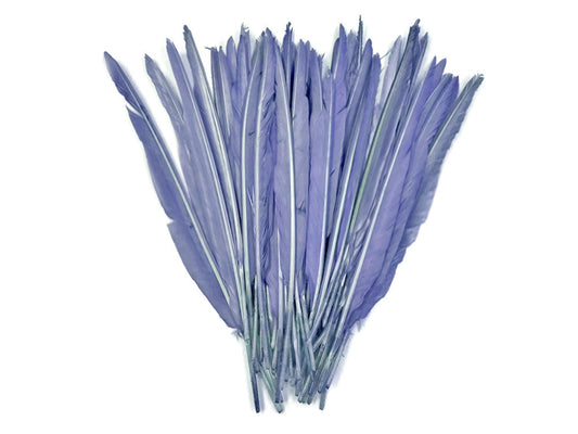 1/4 Lb. - Robin's Egg Blue Goose Pointers Long Primaries Wing Wholesale Feathers (Bulk)