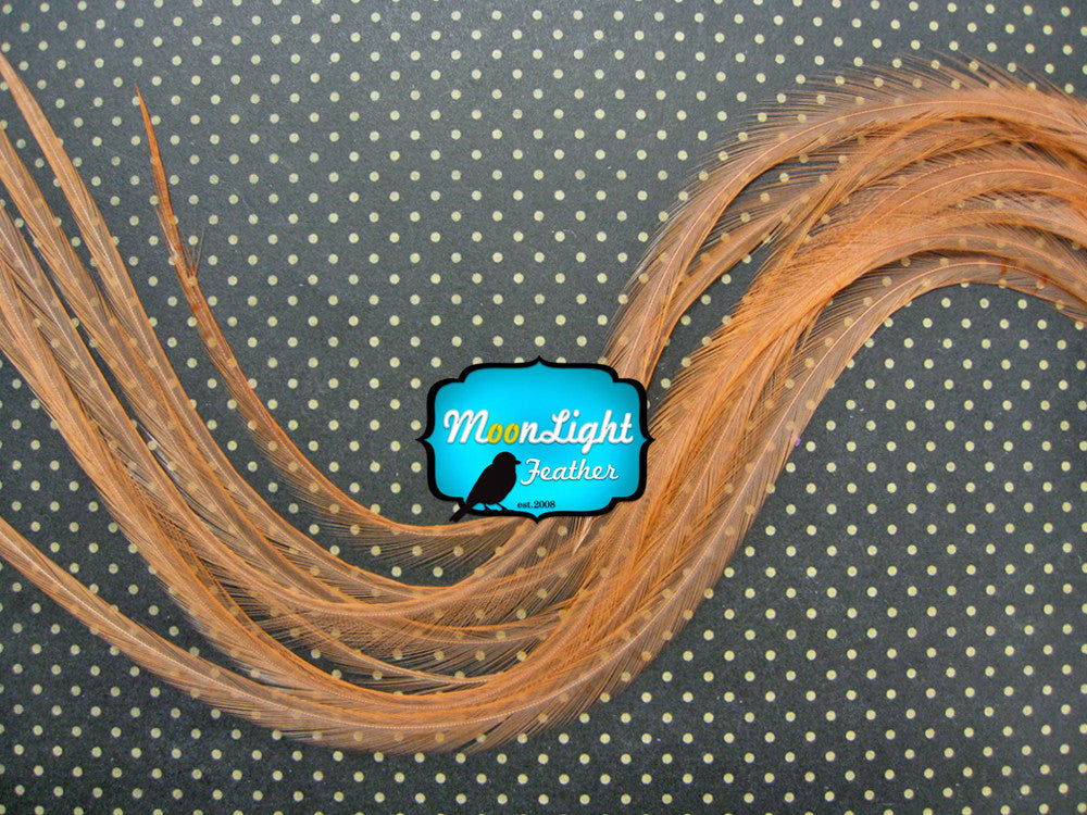 10 Pieces - Solid Cantaloupe Thin Long Rooster Hair Extension Feathers