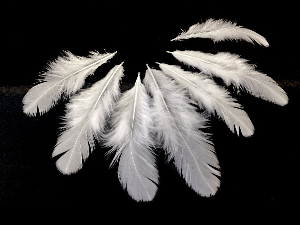 A quarter pound - Natural White Hen Saddle Accent Feathers for Wedding Backdrops & Arches