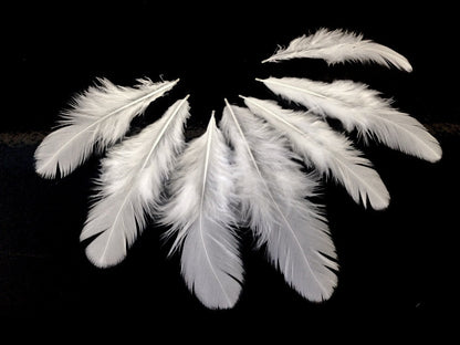 A quarter pound - Natural White Hen Saddle Accent Feathers for Wedding Backdrops & Arches