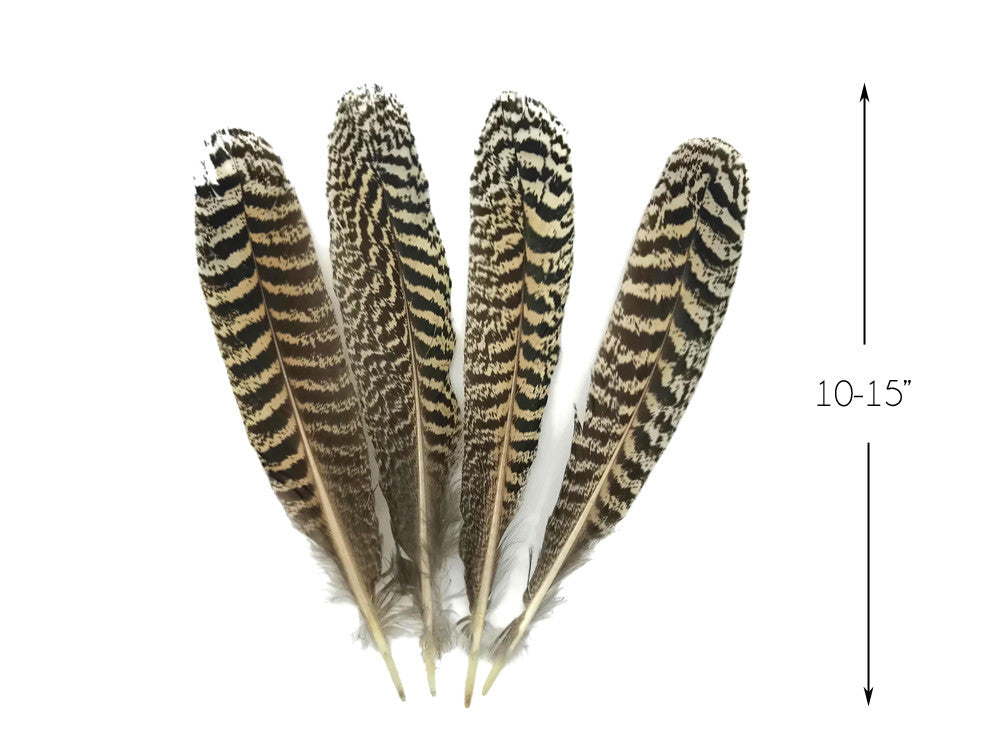 1 Pair -  7-10" and Up Natural Barred Mottled Peacock Wing Quills Feathers