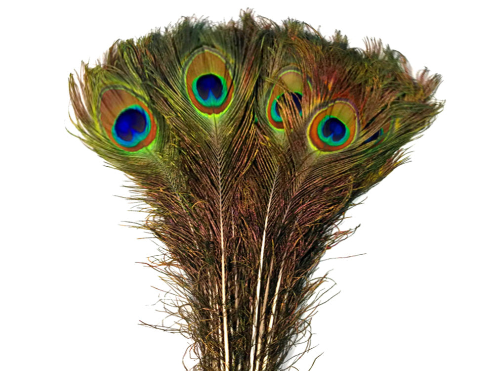 50 pieces - 30-35" Natural Iridescent Tail Eye Peacock Feathers for Wedding Backdrops & Arches