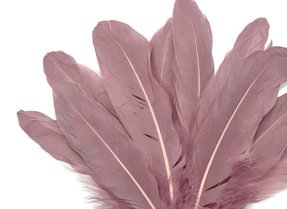 A quarter pound - Taupe Satinettes Pallet Accent Feathers for Wedding Backdrops & Arches