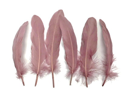 A quarter pound - Taupe Satinettes Pallet Accent Feathers for Wedding Backdrops & Arches