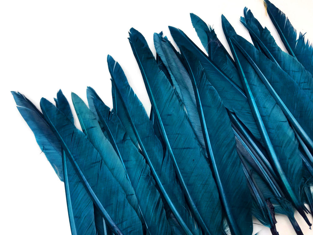 A quarter pound - Teal Blue Pointer Primary Accent Feathers for Wedding Backdrops & Arches