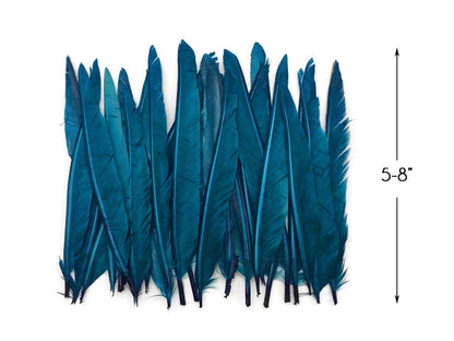 A quarter pound - Teal Blue Pointer Primary Accent Feathers for Wedding Backdrops & Arches