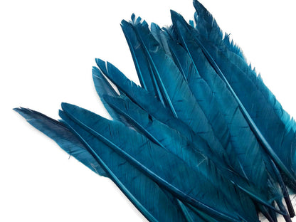 A quarter pound - Teal Blue Pointer Primary Accent Feathers for Wedding Backdrops & Arches