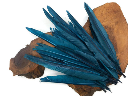 A quarter pound - Teal Blue Pointer Primary Accent Feathers for Wedding Backdrops & Arches