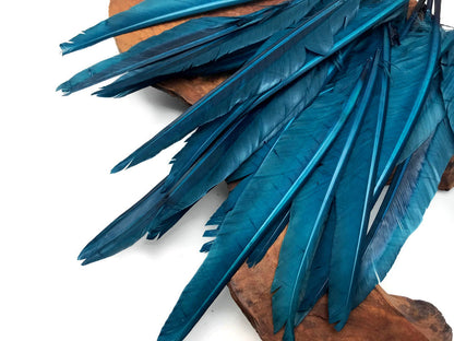 A quarter pound - Teal Blue Pointer Primary Accent Feathers for Wedding Backdrops & Arches