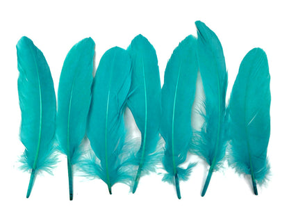 A quarter pound - Blue Goose Satinettes Pallet Peacock Feathers for Wedding Backdrops & Arches
