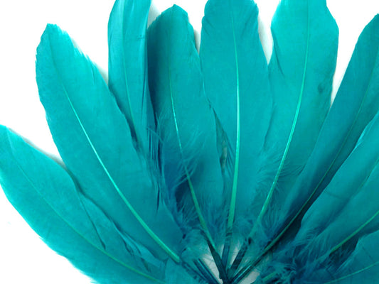 A quarter pound - Blue Goose Satinettes Pallet Peacock Feathers for Wedding Backdrops & Arches