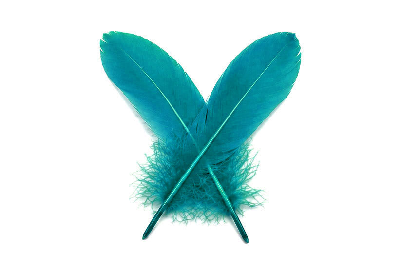 A quarter pound - Blue Goose Satinettes Pallet Peacock Feathers for Wedding Backdrops & Arches
