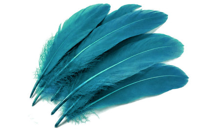 A quarter pound - Blue Goose Satinettes Pallet Peacock Feathers for Wedding Backdrops & Arches