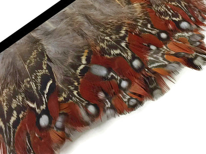 1 yard - Natural Temminck Tragopan Rum Accent Feathers for Wedding Backdrops & Arches