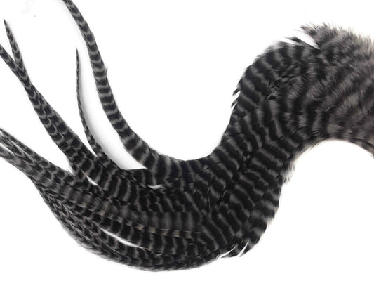 6 Pieces - XL Grey Dun Thick Long Grizzly Whiting Farm Rooster Saddle Hair Extension Feathers