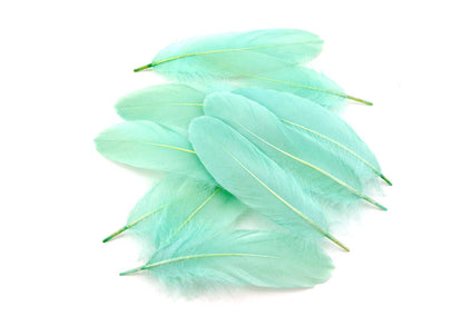 A quarter pound - Aqua Blue Satinettes Pallet Accent Feathers for Wedding Backdrops & Arches