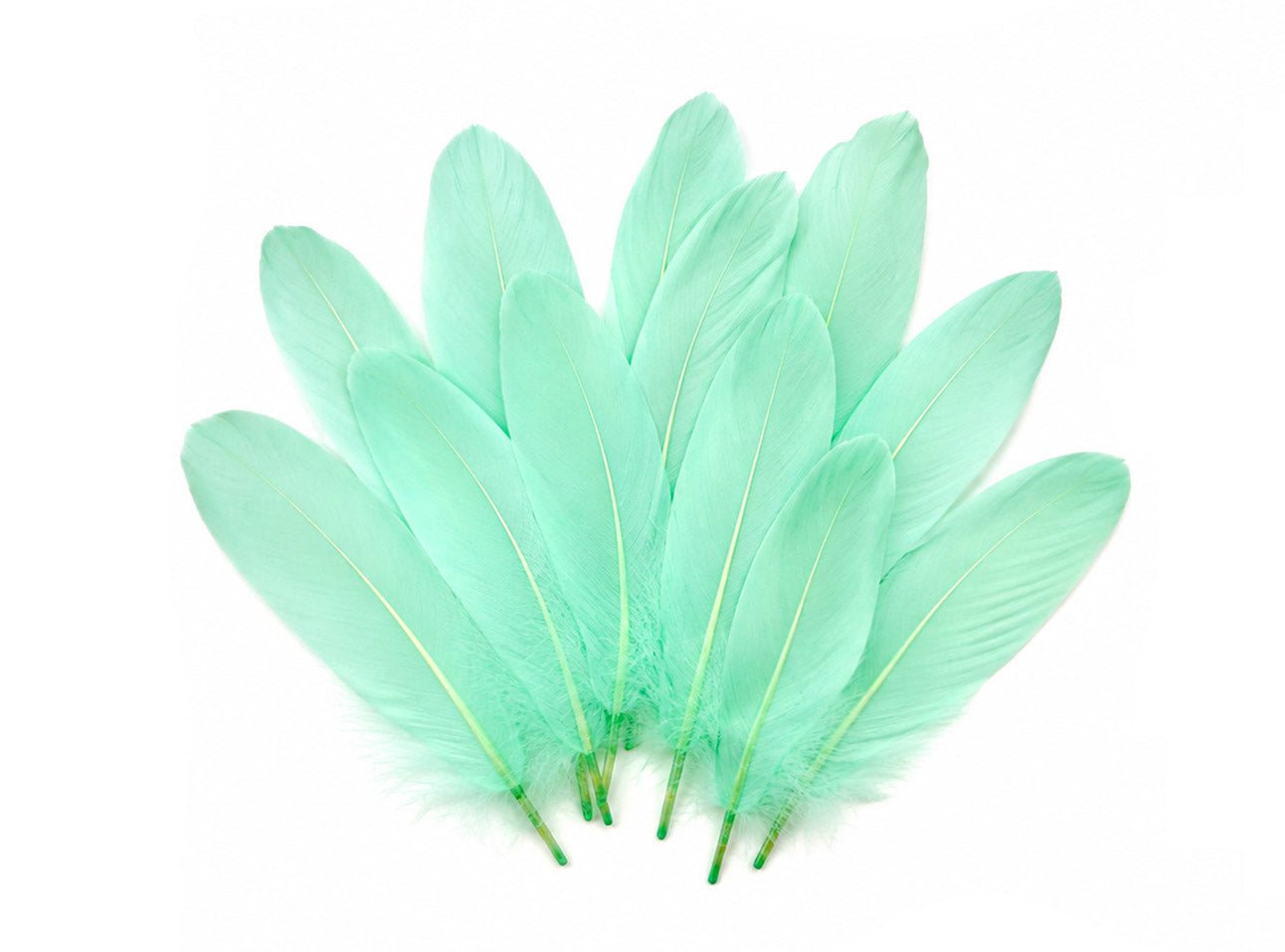 A quarter pound - Aqua Blue Satinettes Pallet Accent Feathers for Wedding Backdrops & Arches