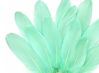 3 oz - Green Pack Aqua Satinettes Accent Feathers for Wedding Bouquets & Boutonnieres
