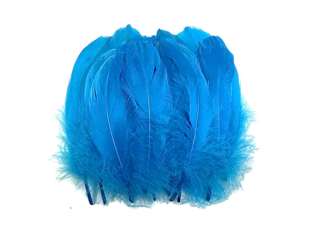 25 oz - Turquoise Pack Blue Nagoire Accent Feathers for Wedding Bouquets & Boutonnieres