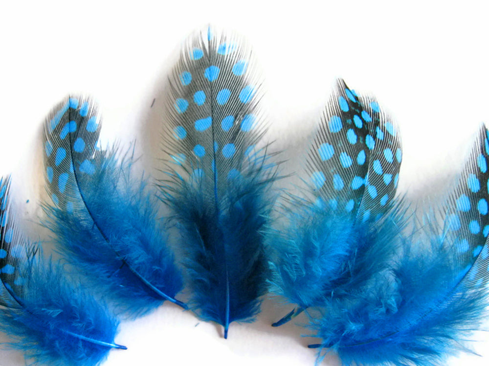 A quarter pound - Turquoise Blue Hen Plumage Accent Feathers for Wedding Backdrops & Arches