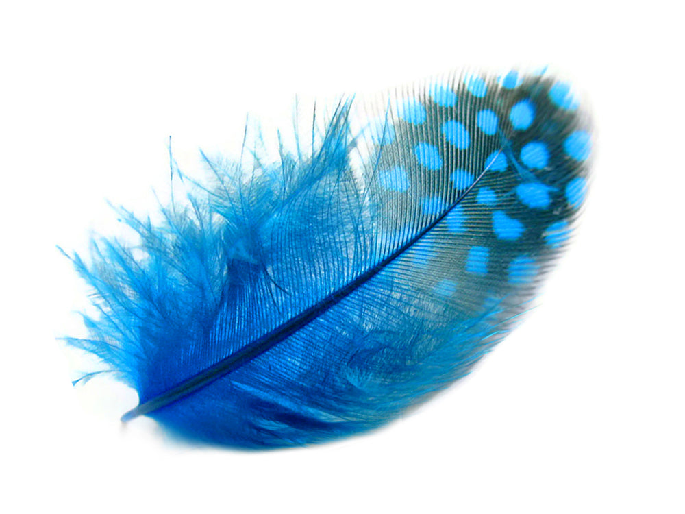 A quarter pound - Turquoise Blue Hen Plumage Accent Feathers for Wedding Backdrops & Arches