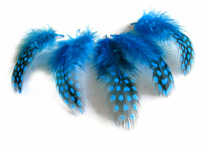 10 oz - Turquoise Pack Blue Hen Accent Feathers for Wedding Centerpieces