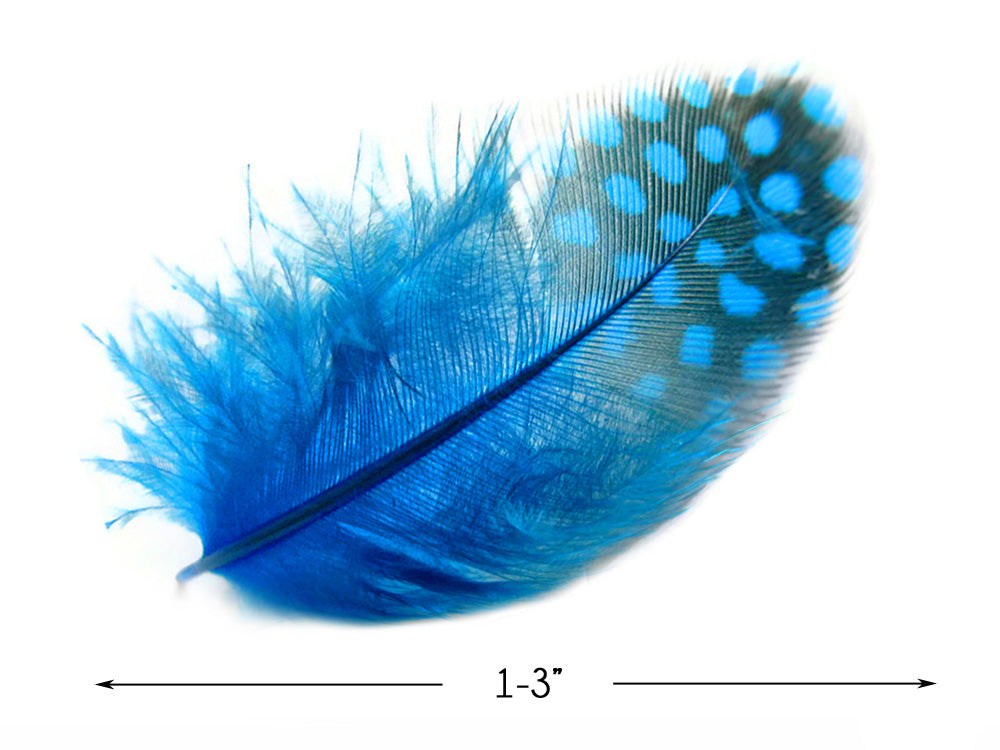 A quarter pound - Turquoise Blue Hen Plumage Accent Feathers for Wedding Backdrops & Arches