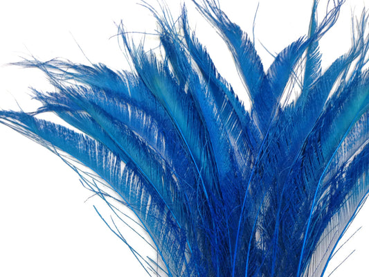 5 pieces - 10-12" Turquoise Blue Bleached Dyed Peacock Feathers for Wedding Centerpieces