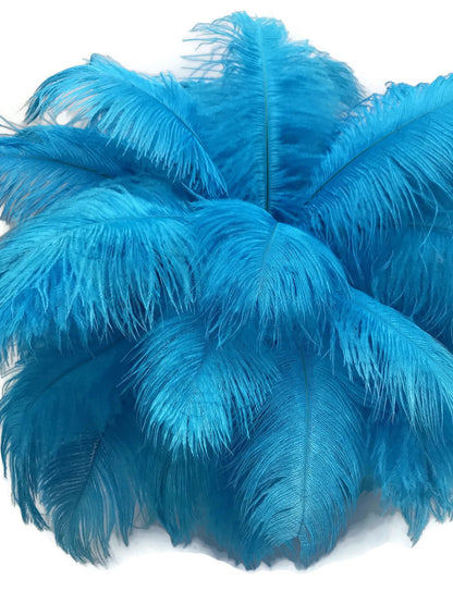 1/2 Lb. - 9-13" Turquoise Blue Dyed Ostrich Body Drab Wholesale Feathers (Bulk)