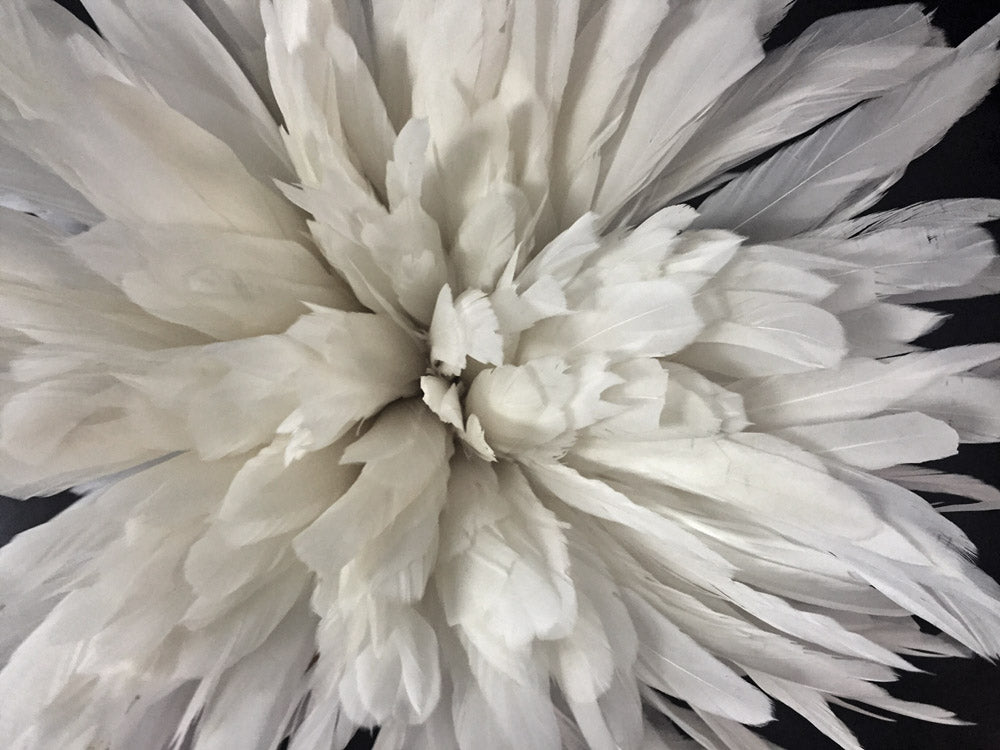 2 yards - 8-10" Natural White Strung Bleach Accent Feathers for Wedding Backdrops & Arches