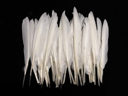 50 oz - White Pack Primary Wing Accent Feathers for Wedding Centerpieces