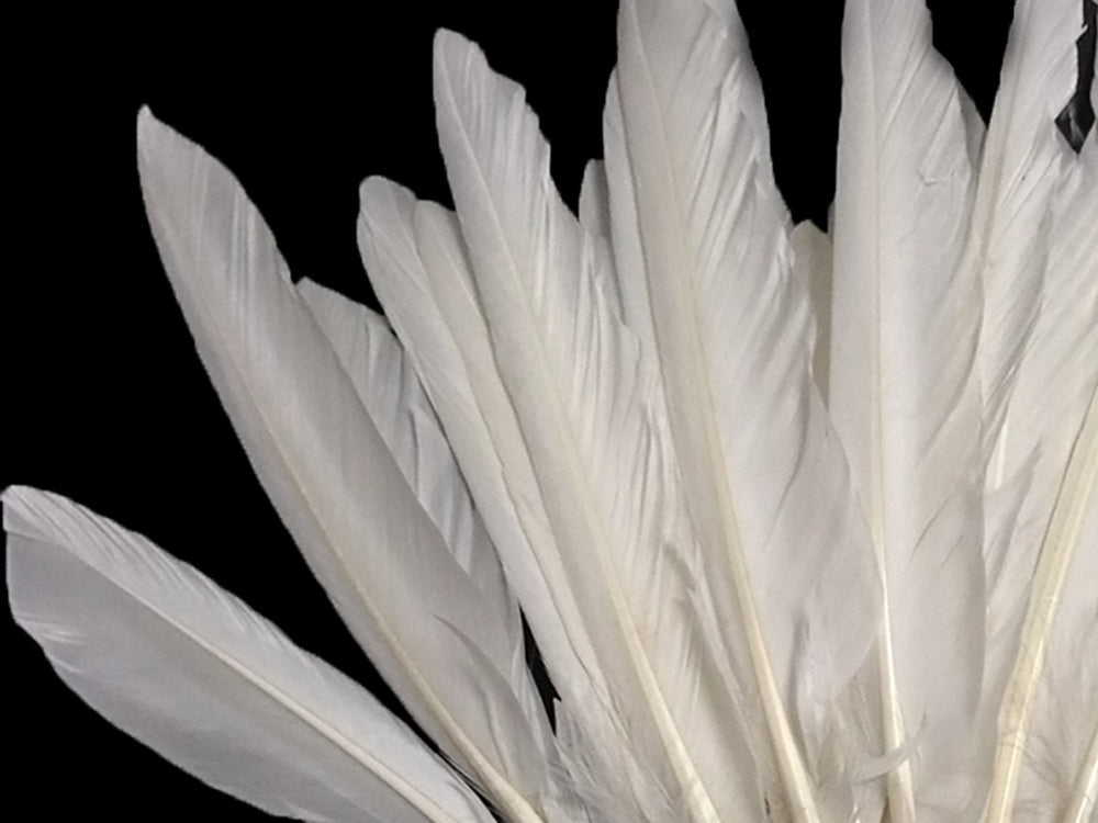 A quarter pound - White Pointer Primary Wing Accent Feathers for Wedding Backdrops & Arches