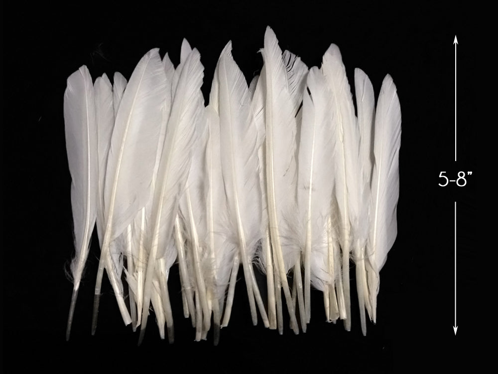 A quarter pound - White Pointer Primary Wing Accent Feathers for Wedding Backdrops & Arches