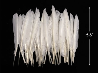 A quarter pound - White Pointer Primary Wing Accent Feathers for Wedding Backdrops & Arches