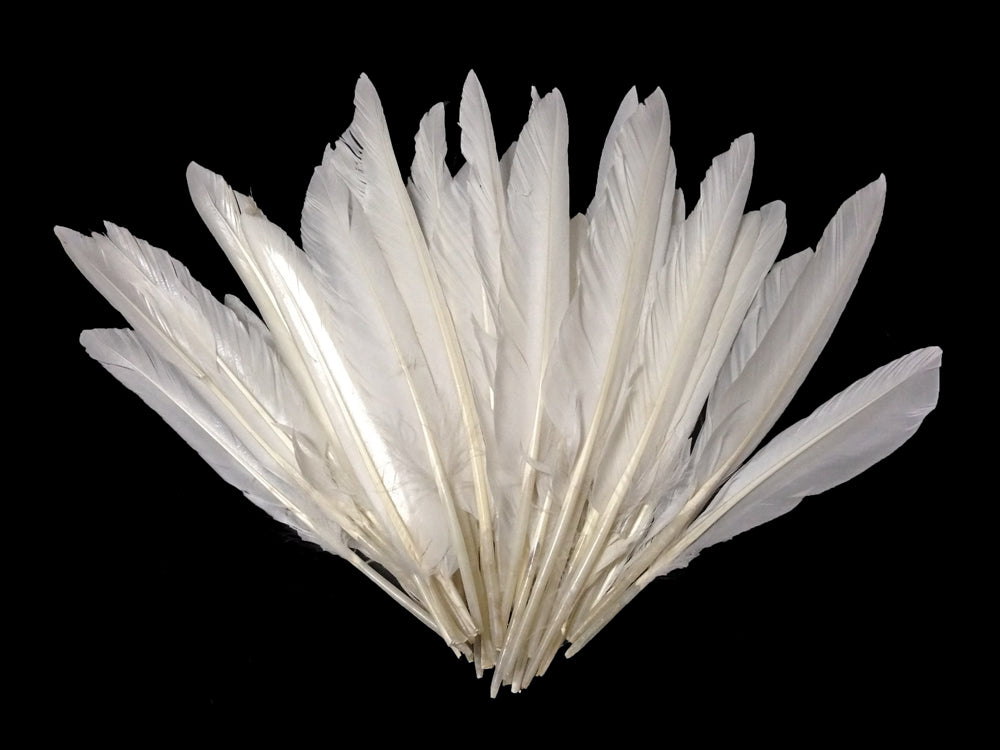 50 oz - White Pack Primary Wing Accent Feathers for Wedding Centerpieces