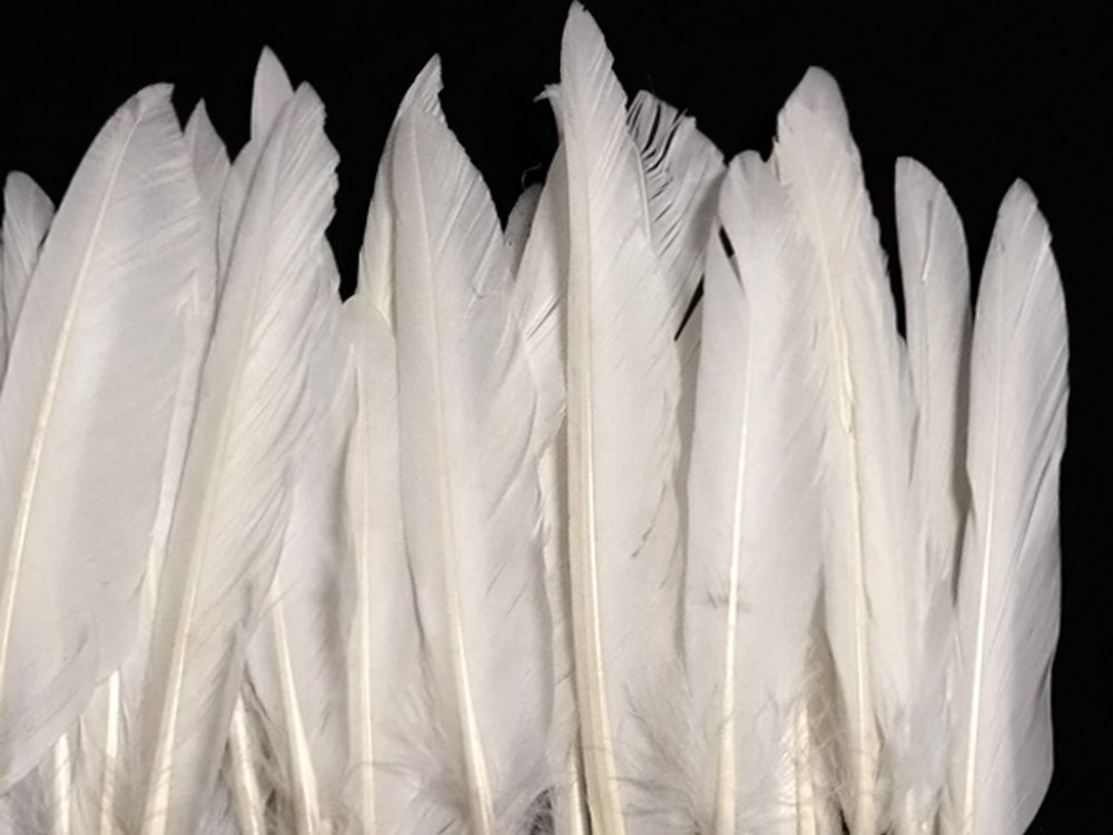 50 oz - White Pack Primary Wing Accent Feathers for Wedding Centerpieces