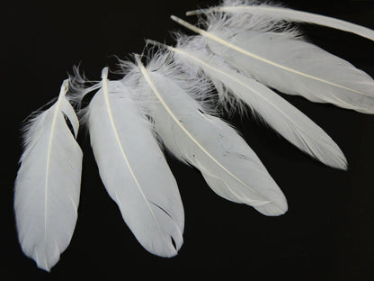 A quarter pound - White Satinettes Pallet Soft Accent Feathers for Wedding Backdrops & Arches