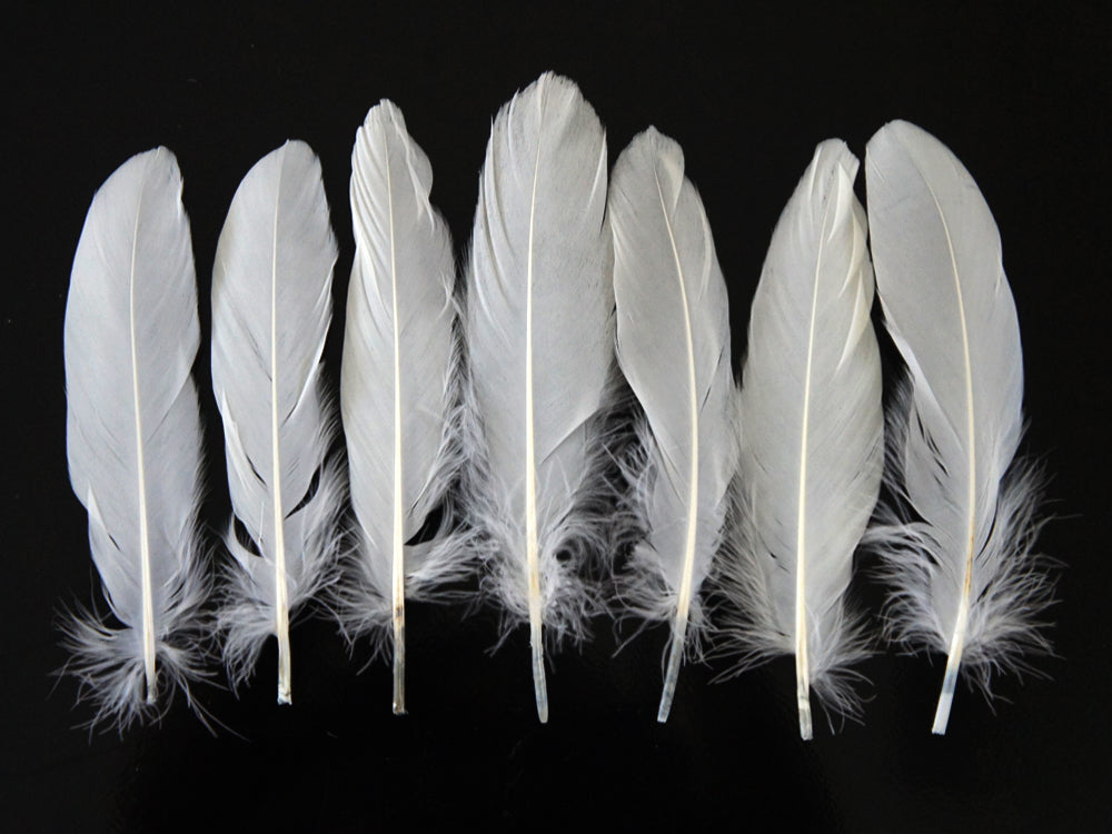 A quarter pound - White Satinettes Pallet Soft Accent Feathers for Wedding Backdrops & Arches