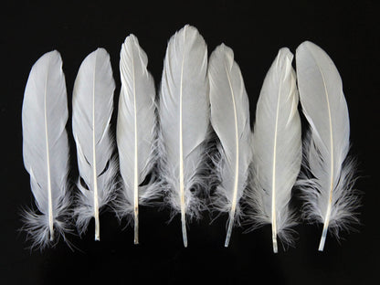 3 oz - White Pack Satinettes Pallet Accent Feathers for Wedding Bouquets & Boutonnieres
