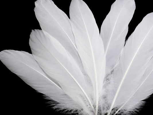 A quarter pound - White Satinettes Pallet Soft Accent Feathers for Wedding Backdrops & Arches