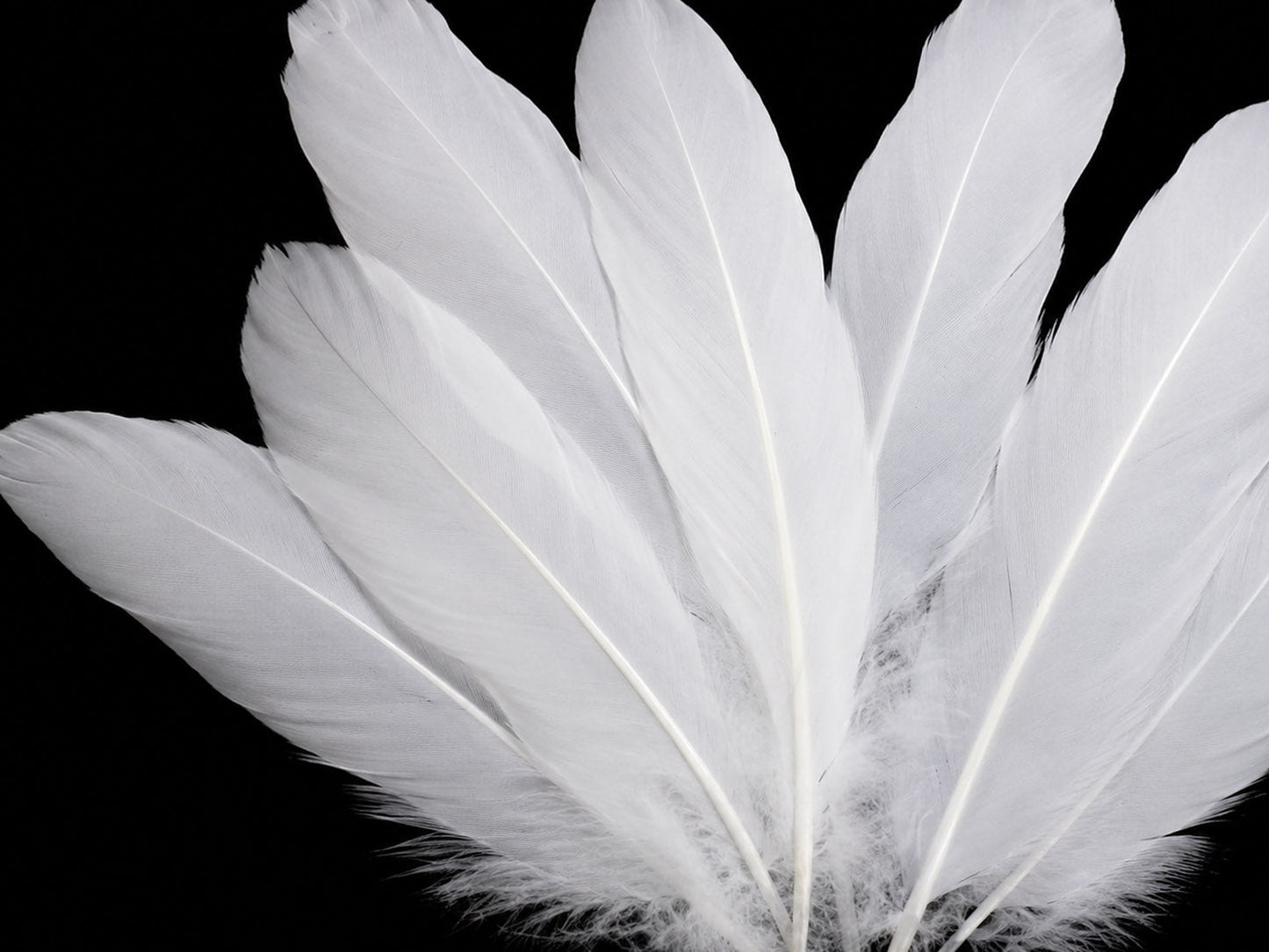 3 oz - White Pack Satinettes Pallet Accent Feathers for Wedding Bouquets & Boutonnieres